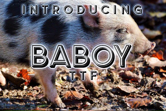 Baboy: Bold 3D Style for Modern Design
