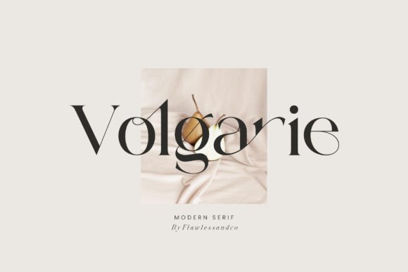 Elevate Your Brand Identity with the Distinctive Charm of Volgarie
